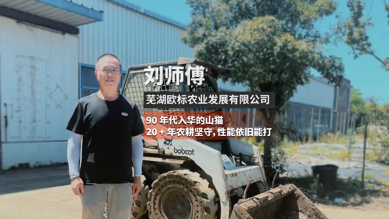 28年：山猫滑移依旧能打