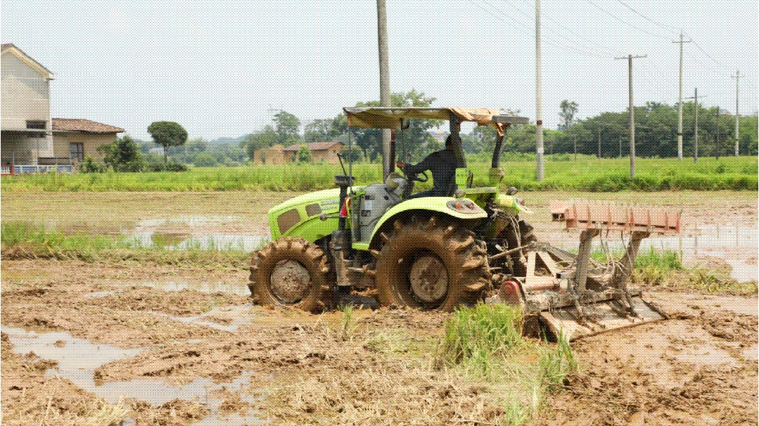 20250709“稻海”穿梭 高效耕耘丨中联重科智能农机让水稻种粮大户“双抢”更从容.gif