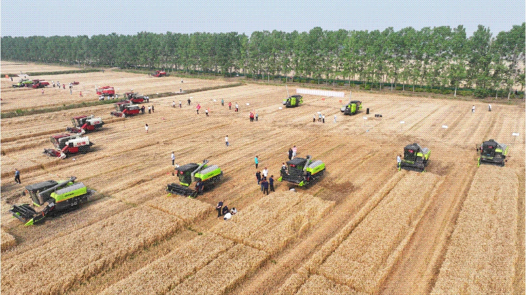 20250526三夏最前线丨安徽小麦开镰！中联重科智能农机减损比武秀实力.gif