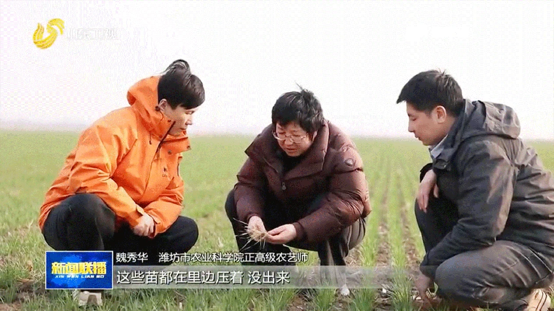 02.gif