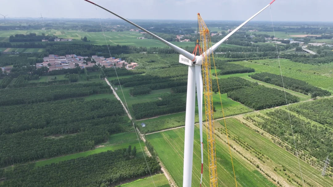 DJI_20260711110057_0225_D.MP4_20260727_153053.652.png
